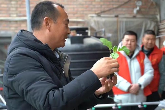 西安鄠邑：培育高素质农民 赋能乡村振兴新引擎