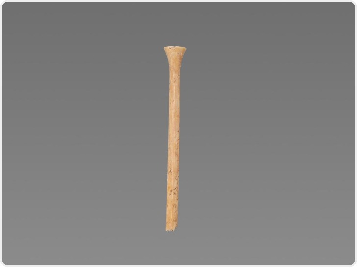 陕西丰京遗址新发现：西周骨笄见证女子及笄之礼