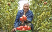 种好“菜园子” 拎稳“菜篮子”