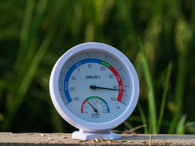 世界气象组织确认2025年进入有记录以来最热年份前三