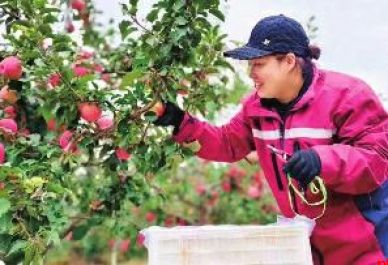 绥德：中央专项彩票公益金激活乡村振兴一池春水