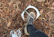 广州白云山一徒步者踩中捕兽夹 景区回应：正在排查