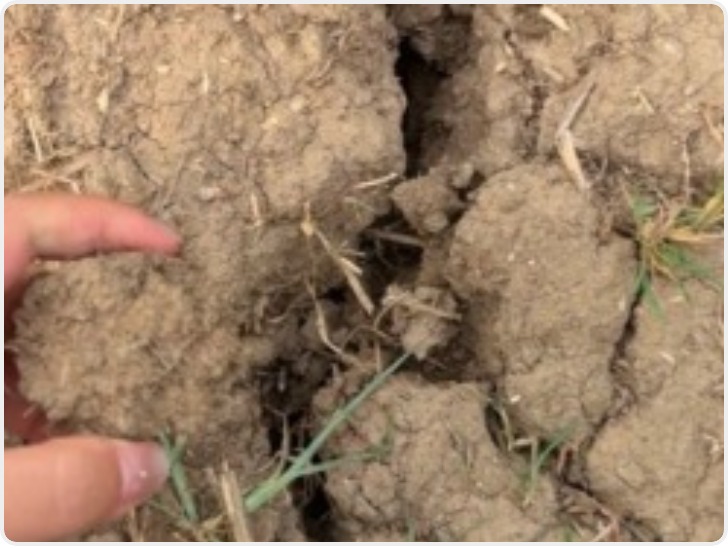 河南去年十大天气气候事件引关注 专家：全球变暖使这里的天气波动放大