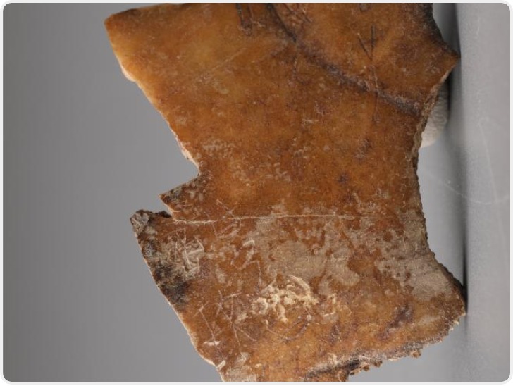 考古新发现佐证西岐在周原