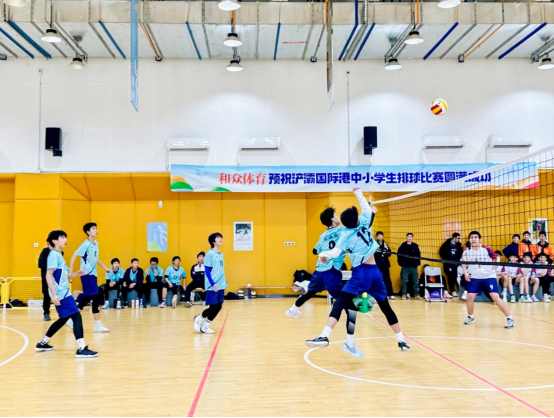 RFZOOg7O8FbiyZBj.png image.png