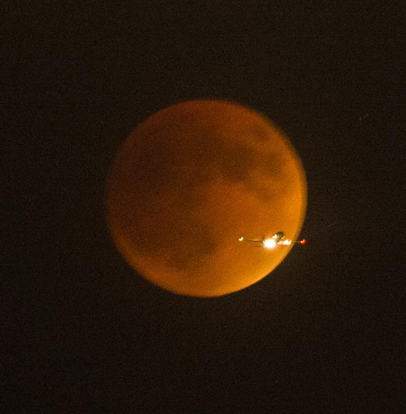 (国际)(2)洛杉矶中秋出现超级“血月”奇观