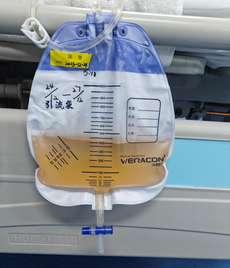 CvSXvr3pmlvTpEx9.png image.png