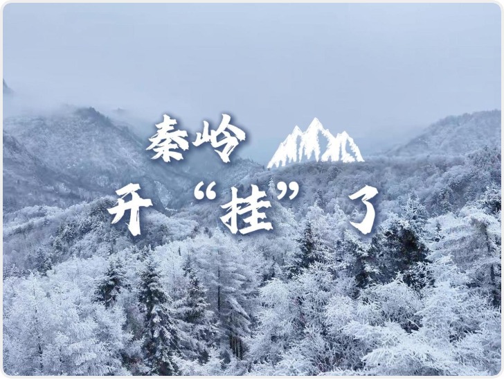 秦岭开“挂”了