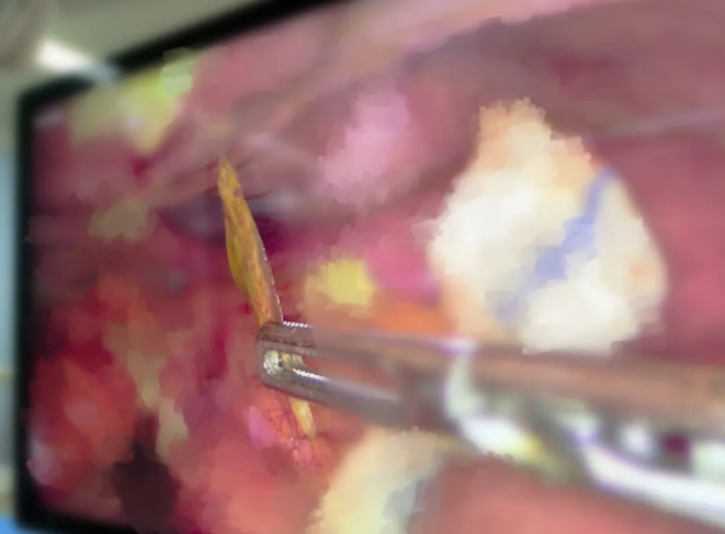 FQLKXDhZSoWJEK2d.png image.png