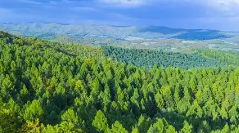 2026年陕西将持续筑牢生态安全屏障 坚决整治违规穿越探险