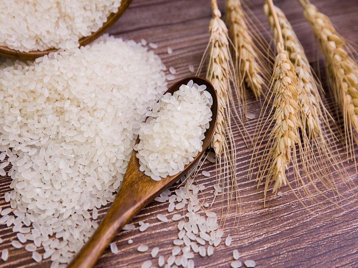 擦亮特色产业增收致富“金名片”