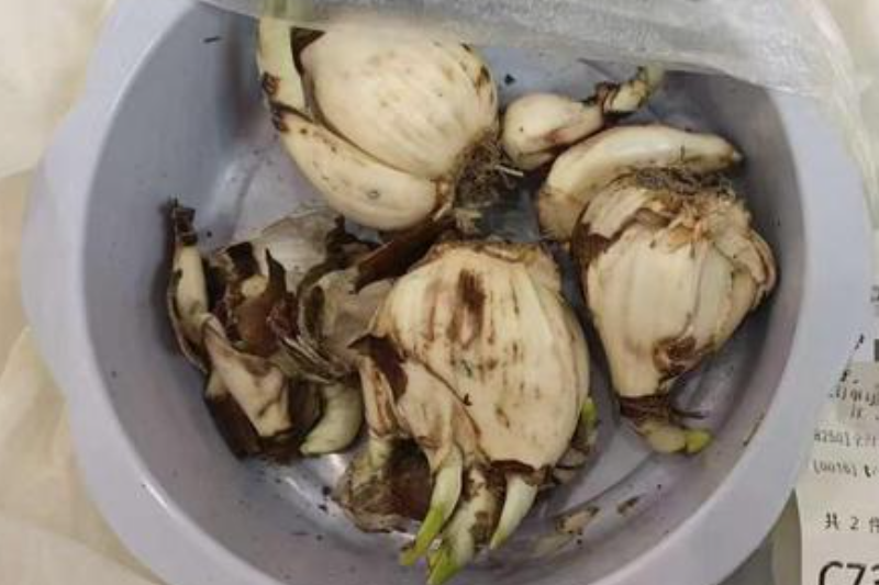 “盒马错发水仙”当事人索赔从375万降至48万：准备起诉