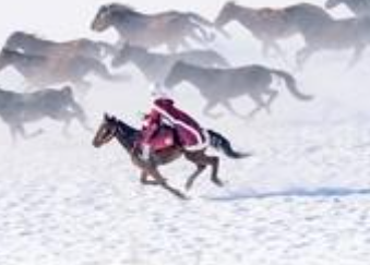 贺娇龙事迹写入新疆维吾尔自治区政府工作报告