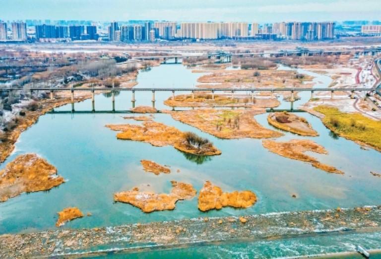 第30个世界湿地日 探寻西安湿地保护当代实践