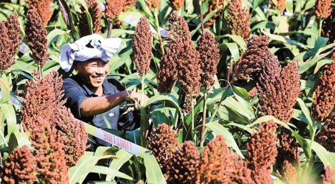 mRluMjaPQjwoFLrk.png image.png