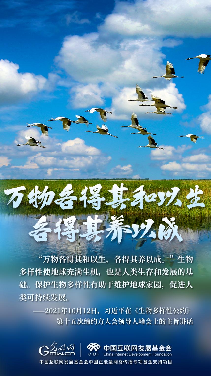 华商头条|全部导航“两山”理念与美丽中国丨湿地与候鸟，一场岁岁年年的相守