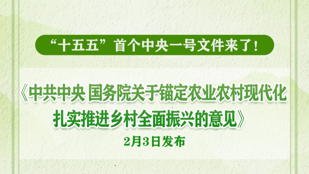 2026年中央一号文件发布