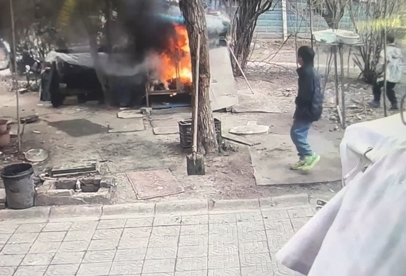 烧死萨摩耶的男孩家长凌晨发布道歉又删除 狗主人最新回应