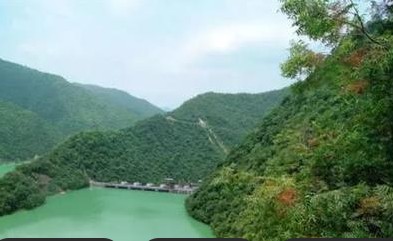 我国湿地面积居亚洲第一、世界第四