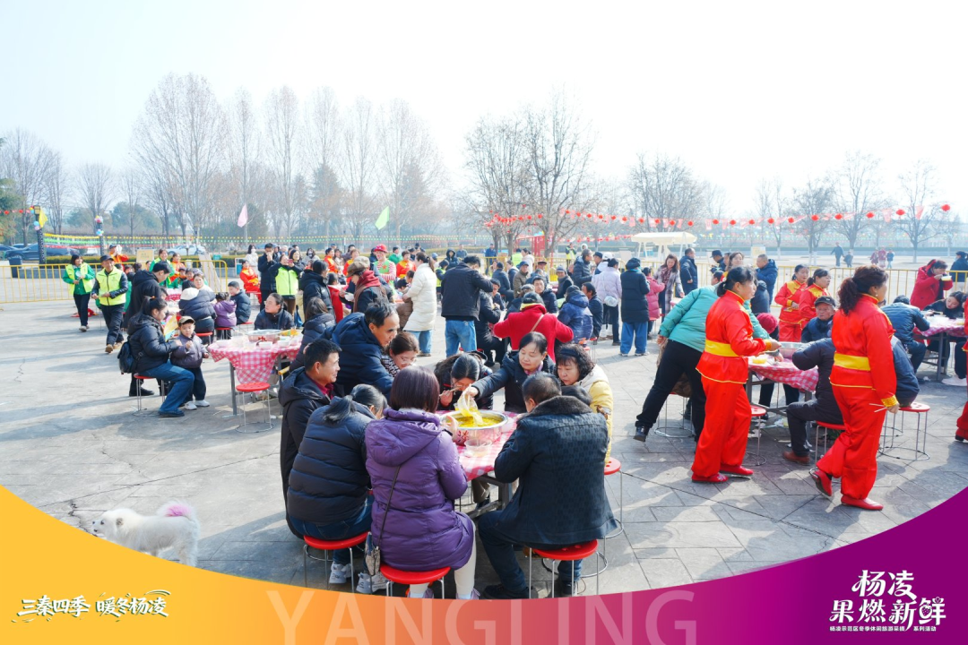 趣采摘 逛景区 品非遗 杨凌特色活动解锁年味新体验