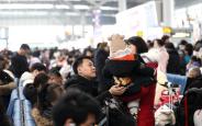 陕西铁路2026年春运预计累计发送旅客1863万人次