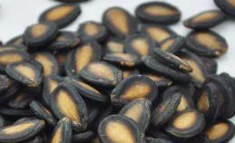 1斤瓜子贵过猪肉 新“炒货刺客”来了