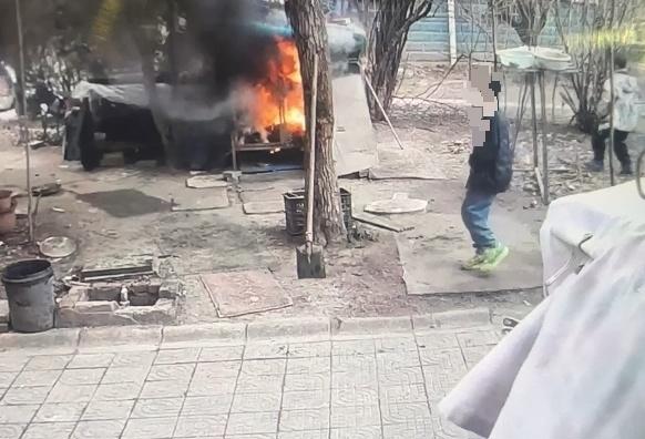 两男孩玩火点燃狗笼烧死萨摩耶 生命教育的缺失是悲剧之源