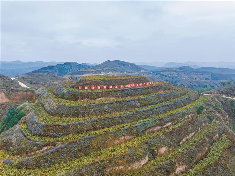 选好新品种 用好新技术 绥德特色农业的升级路