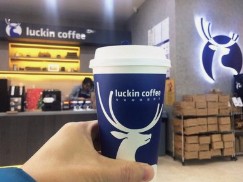 9块9咖啡价格战熄火 2025年咖啡相关企业注册量同比增长20.22%