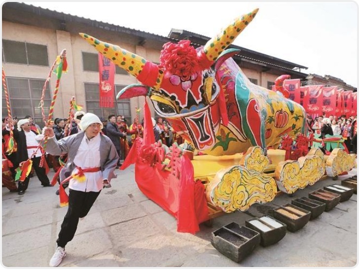 “鞭春牛” 迎新春