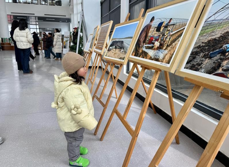 百幅《蒲城瓜农》亮相