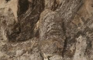 华商头条|西安建大研究团队为石窟寺等半开放文化遗产“诊脉”