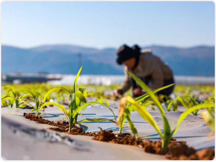 人勤春早 不负春光——立春时节农耕一线见闻