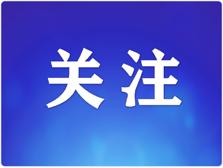 我国网民规模达11.25亿人 互联网普及率突破80%