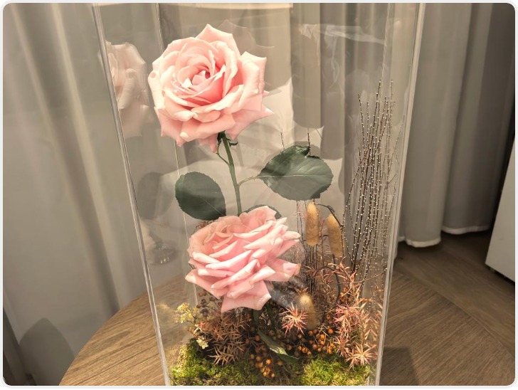 “娇龙”归乡 赴一场致敬之约