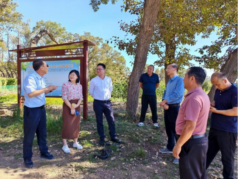 NqV66jIgQfzqWKlj.png image.png