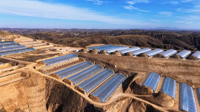 新春走基层 | 佳县朱官寨镇：让产业之花在黄土高原绽放