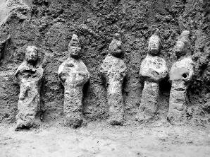 西安发现北魏杨氏家族墓 DNA证实家族亲缘关系