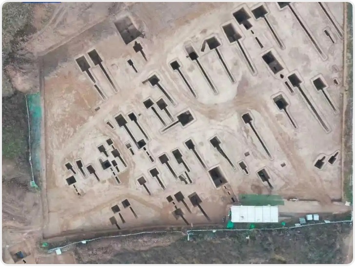 西安发现北魏杨氏家族墓 DNA证实家族亲缘关系