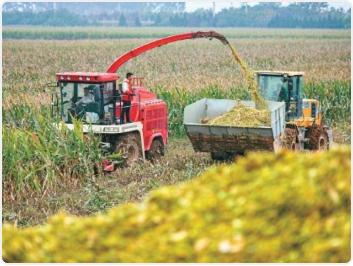 粮稳业兴乡村美 2025年西安粮食总产量站稳140万吨台阶