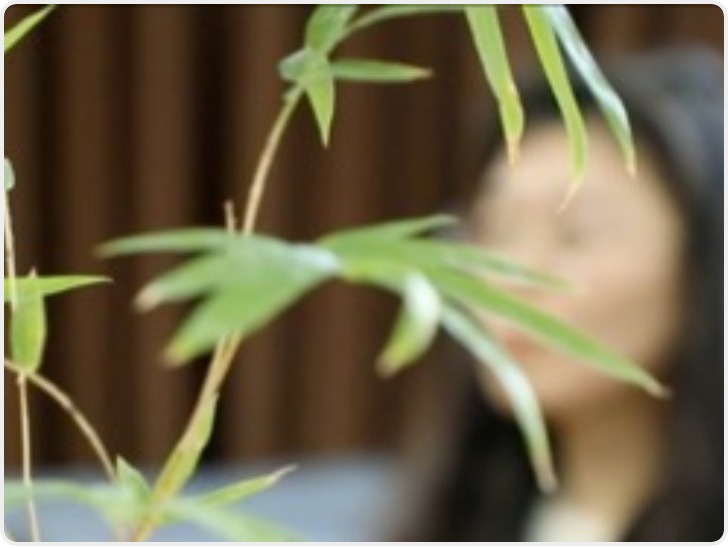 从未上班却有6份社保记录 媒体：别让个人信息成灰产牺牲品