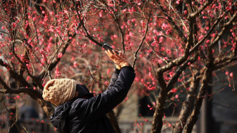 华商头条|20℃线将推至今年以来最北 春节前就这样暖下去？冷空气接踵而至