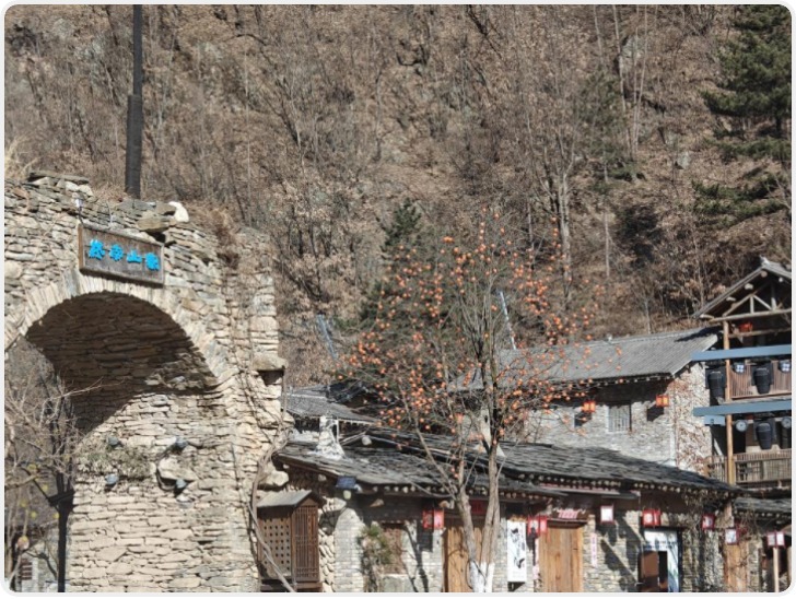 新春走基层丨从“绿水青山愁”到“生态富村乐” 商洛市柞水县朱家湾村的生态致富路