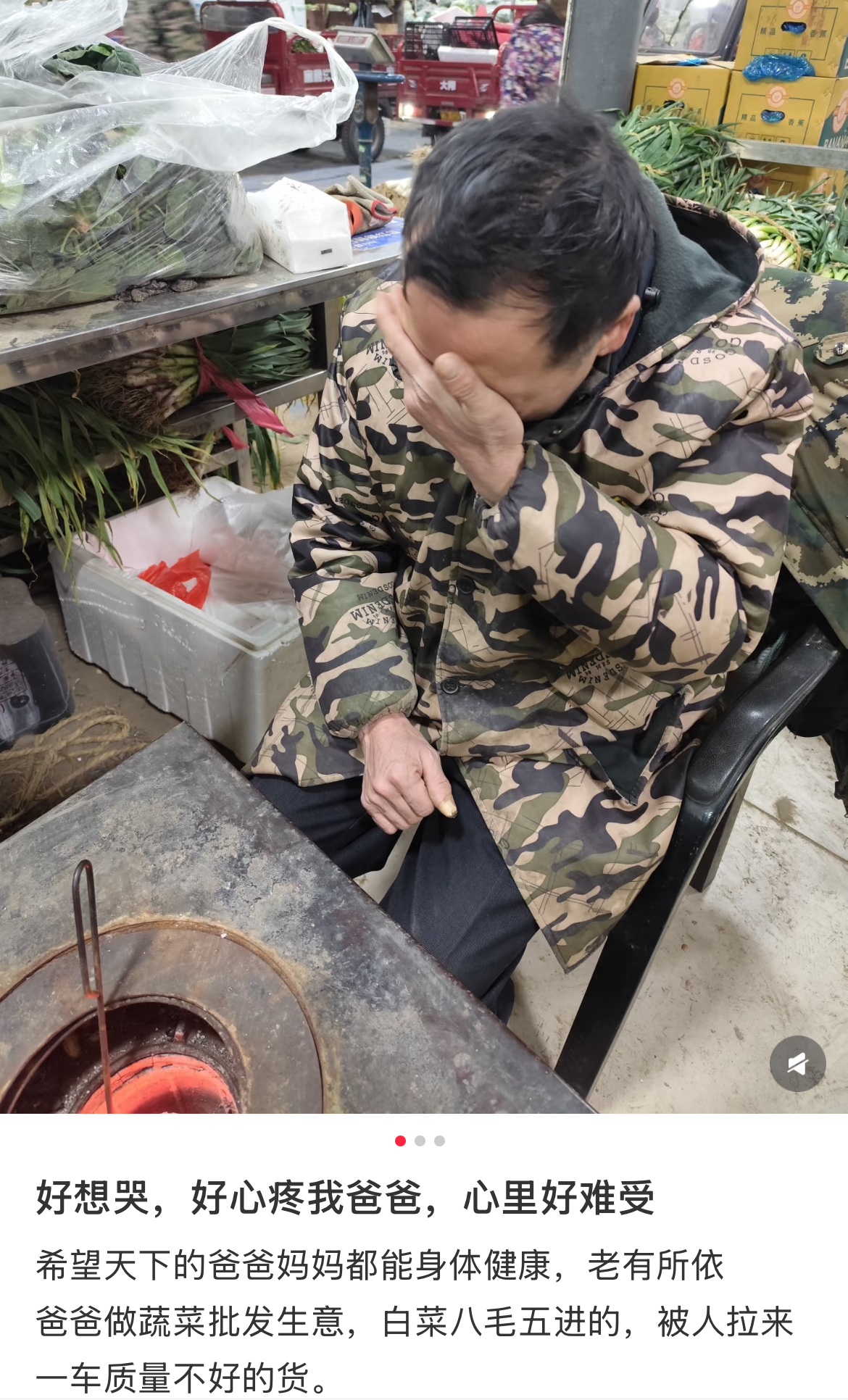 洛阳农户两万斤白菜滞销 女儿网上求助  403位网友下单免费送