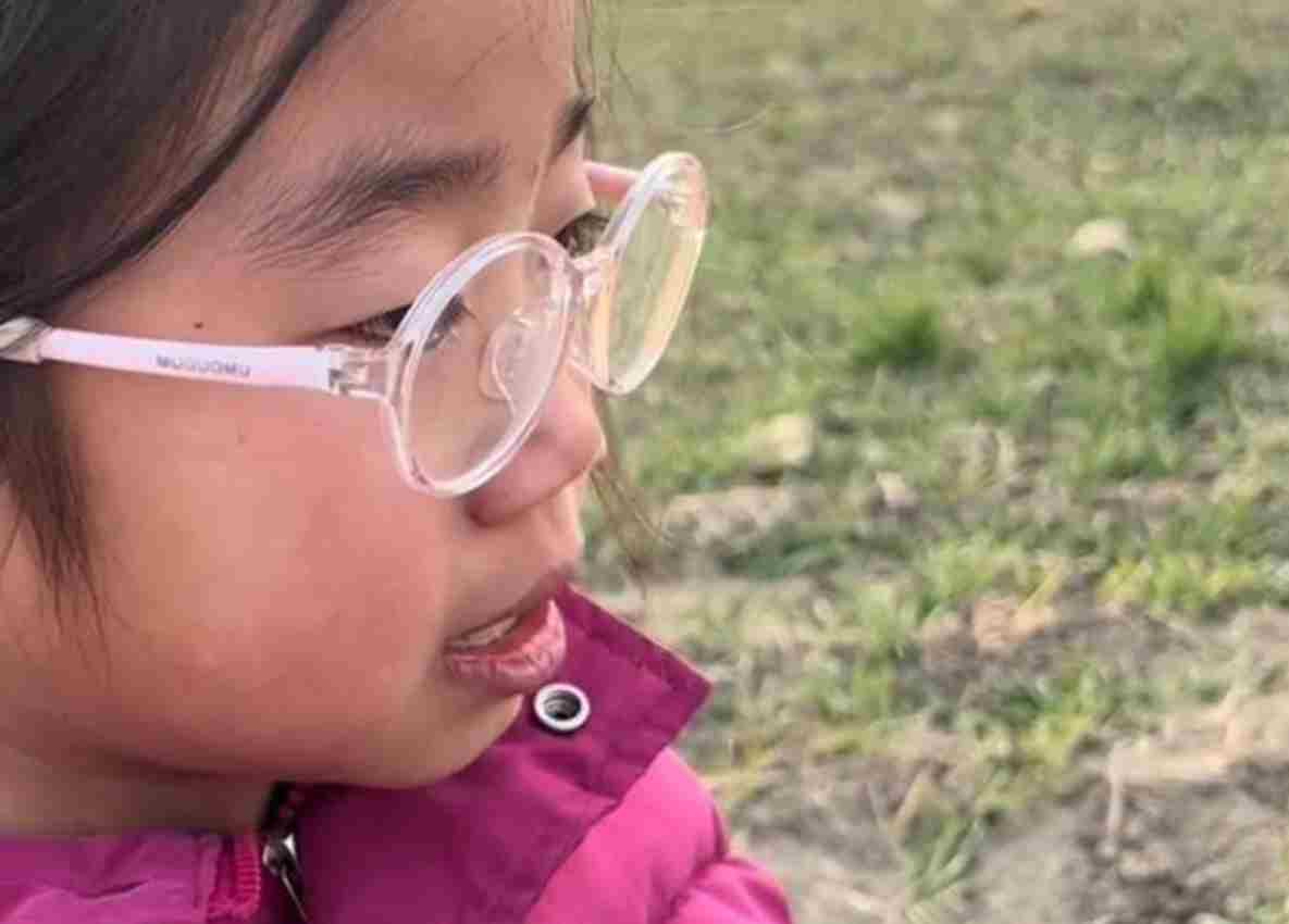 8岁女孩拿到6张奖状在母亲坟前哭诉：没有意义你看不到