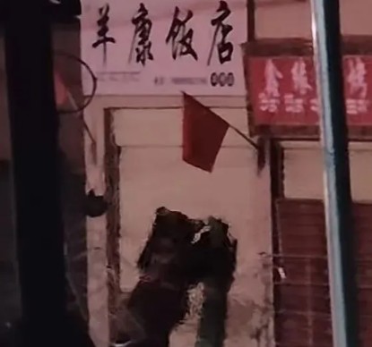 除夕夜 一只熊狂捶饭馆门 店主：损失估计在几千元至万元