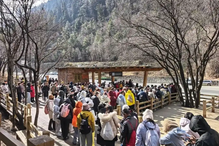 全国多个热门景区博物馆人气爆棚 景区发布限流措施