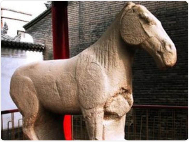 年代官方认证 碑林博物馆的这匹马有名有姓