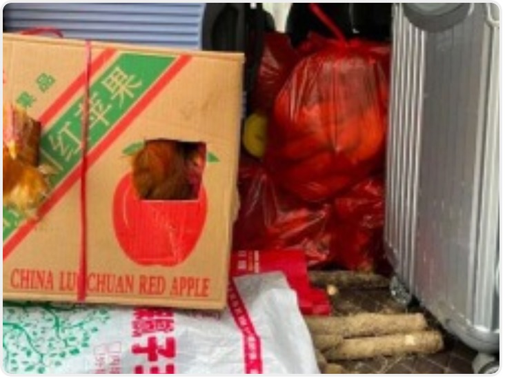 新华时评：满载爱的行囊 奔赴下一场山海