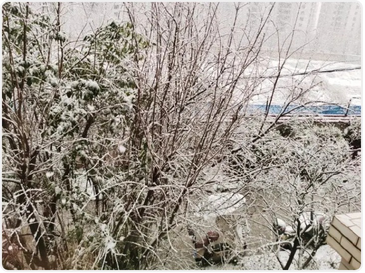 关于西安今天的鹅毛大雪 听听气象专家的解读